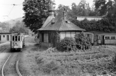 Magyarország, Hűvösvölgy, Budapest II., villamos-végállomás., 1959, Handa család, Budapest, viszonylatszám, Fortepan #201542