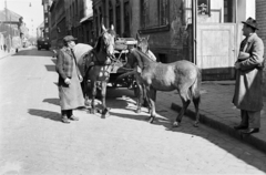 Magyarország, Budapest IX., Márton utca a Gát utcától a Balázs Béla utca felé nézve., 1959, Handa család, lovaskocsi, kocsis, ló, csikó, Budapest, Fortepan #201550