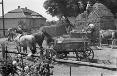 Magyarország, Tiszadob, Bocskai utca., 1962, Handa család, vályogvetés, Fortepan #201593