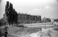 Magyarország, Budapest XI., Feneketlen-tó, szemben az Edőmér utca házsora., 1968, Jakab Antal, Budapest, Fortepan #201901