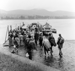 Magyarország,Dunakanyar, Visegrád, Duna-part, kompkikötő, szemben Nagymaros., 1975, Faragó László, osztálykirándulás, hátizsák, eső, esőkabát, komp, háttal, Fortepan #202430