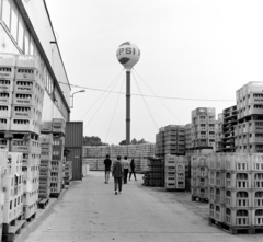 Magyarország, Sárvár, az Erdei Termék Vállalat sárvári üdítöital gyáregysége., 1980, Faragó László, Pepsi-márka, Fortepan #202446