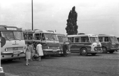 Németország, Drezda, Theaterplatz, turistabuszok parkolója., 1962, Faragó László, Ikarus 55, NDK, Fortepan #202493