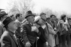 Magyarország, Budapest X., Albertirsai út, Lóversenypálya (később Kincsem Park)., 1975, Rubinstein Sándor, kalap, lóverseny, Budapest, bámészkodás, nézőtér, Fortepan #202647