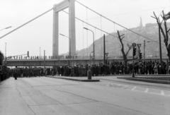 Hungary, Budapest V., Petőfi tér, Március 15-i ünnepség, háttérben az Erzsébet híd és a Gellért-hegy., 1976, Rubinstein Sándor, Budapest, Fortepan #202796