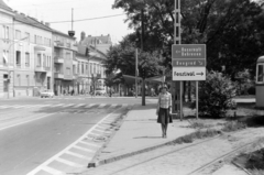 Magyarország, Szeged, Dugonics tér a Kálvária sugárút irányából., 1978, Rubinstein Sándor, villamos, légvezeték, felsővezeték, Fortepan #202907