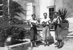 1930, Privát Fotó és Film Archívum-Urbach gyűjtemény, hangszer, kert, csoportkép, férfiak, terasz, zenész, bricsesz, gitár, mandolin, repkény, Fortepan #20309