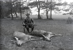 1937, Tóth Árpád, deer, place, hunter, Fortepan #203177