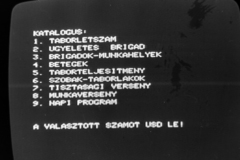 Magyarország, Lakitelek, Tőserdő, a felvétel a Bagi Ilona KISZ építőtáborban készült., 1984, Madách Gimnázium, számítógép, képernyőfotó, Fortepan #203362