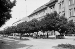 Magyarország, Szolnok, Baross (Beloiannisz) út az Irgalmas utcától a Szent István király utca felé nézve., 1954, Kurutz Márton, címer, utcakép, Fortepan #203898