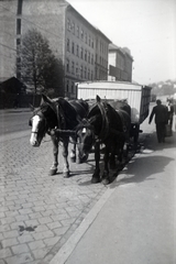 Magyarország, Budapest XII., Nagyenyed (Enyedi) utca az Alkotás utcától a Böszörményi út felé nézve., 1936, Papp Róbert, Budapest, Fortepan #204196