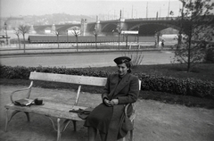 Magyarország, Budapest V., Jászai Mari (Rudolf trónörökös) tér, háttérben a Margit híd., 1944, Papp Róbert, Budapest, hölgy, pad, híd, park, nő, fa, növény, Fortepan #204211