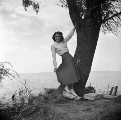 1949, Somlói Miklós dr., lady, skirt, blouse, shore, wood, Fortepan #204278