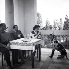 1947, Somlói Miklós dr., hunting dog, dog, table, balcony, soda water bottle, Fortepan #204285