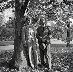 1949, Somlói Miklós dr., gentleman, hat in hand, fallen leaves, wood, tie, double portrait, suit, Fortepan #204318