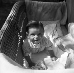 1952, Szalai Zoltán, smile, kids beds, newborn, Fortepan #204510