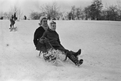 Magyarország, Tabán, Budapest I., szánkópálya a Naphegy utca és a Krisztina körút között., 1970, Kereki Sándor, tél, hó, szánkó, Budapest, Fortepan #204845