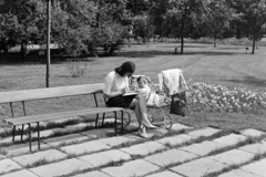 1974, Kereki Sándor, baby carriage, mother, bench, Fortepan #204908