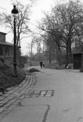 Hungary, Zoo, Budapest XIV., balra a Xántus János ház (később a délkelet-ázsiai élővilág bemutatóhelye)., 1969, Kereki Sándor, zoo, Budapest, Fortepan #204950