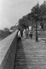 Magyarország, budai Vár, Budapest I., Tóth Árpád sétány., 1973, Kereki Sándor, várfal, Budapest, Fortepan #205065