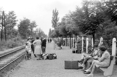 Magyarország,Balaton, Fonyód, Alsóbélatelep, vasútállomás., 1967, Beyer Norbert, közlekedés, vasút, életkép, bőrönd, légvezeték, kerítés, vasútállomás, utas, kézitáska, Fortepan #20520