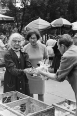 Hungary, Budapest VI., Hunyadi tér, piac a Vásárcsarnok előtt., 1976, Kereki Sándor, Budapest, seller, pen, poultry, old person, hold in arms, Fortepan #205364