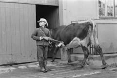 1974, Kereki Sándor, cattle, weapon, Best of, shepherd, hat, Fortepan #205381