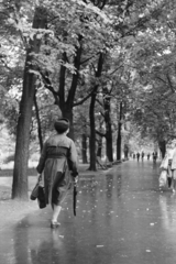 Poland, Kraków, a városfal melletti park., 1974, Kereki Sándor, raincoat, pavement, back, lady, Fortepan #205392