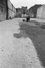 1976, Kereki Sándor, vacant land, wheelbarrow, Fortepan #205427