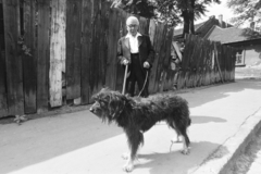 1976, Kereki Sándor, dog, walking the dog, Fortepan #205515