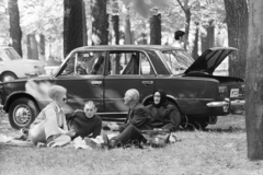 1974, Kereki Sándor, picnic, number plate, Fortepan #205581