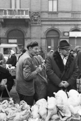 Hungary, Budapest VI., Hunyadi tér, piac a Vásárcsarnok előtt., 1974, Kereki Sándor, Budapest, poultry, Fortepan #205698