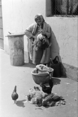 1974, Kereki Sándor, poultry, dustbin, basket, old person, Fortepan #205739