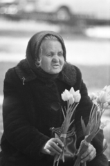 1974, Kereki Sándor, florist, tulip, old person, winter coat, Fortepan #205740