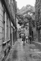 Slovakia, Košice, ulica Postová (egykor gróf Teleki Pál utca) a Fő tér (Hlavná) felé nézve.
, 1974, Kereki Sándor, Czechoslovakia, ailanthus, street view, Fortepan #205926