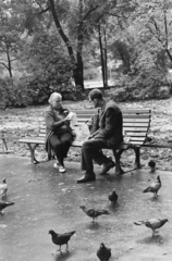 1974, Kereki Sándor, dove, woman, man, bench, Fortepan #205928