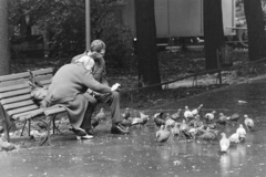 1974, Kereki Sándor, dove, bird feeding, Fortepan #205929