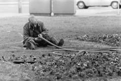 Magyarország, Budapest VI., Kodály körönd, a Fővárosi Kertészeti Vállalat munkása locsolócsövet javít., 1973, Kereki Sándor, muskátli, locsolócső, Budapest, virágágyás, gumicsizma, szerelés, Fortepan #206027