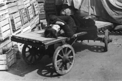 1974, Kereki Sándor, sleeping, handbarrow, Fortepan #206064