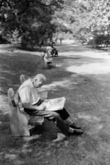 1972, Kereki Sándor, newspaper, bench, reading, Fortepan #206154