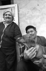 Hungary, Budapest IX., a felvétel a bontás előtt álló Mihálkovics-telepen készült., 1976, Kereki Sándor, Budapest, fondness, Dachshund, dog, Fortepan #206196