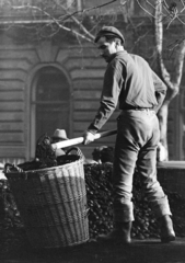 Hungary, Budapest, szenesember tojásbrikettet lapátol a teherautóról a szenes kosárba., 1972, Kereki Sándor, coalman, briquette, Fortepan #206440