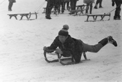 1971, Kereki Sándor, szánkó, Fortepan #206523