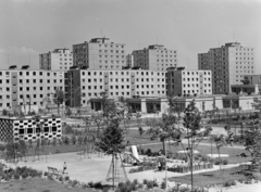 Magyarország, Újpalota, Budapest XV., játszótér a Zsókavár utca 52. számú ház előtt. Szemben az Árendás köznél az óvoda és mögötte a Kőrakás park panelházai., 1975, FŐFOTÓ, Budapest, Fortepan #206723