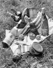 1975, FŐFOTÓ, picnic, basket, tin can, still life, Fortepan #206859