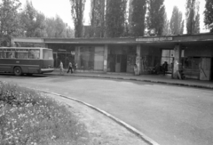 Hungary, Budapest II., Pasaréti tér, autóbusz-végállomás., 1976, FŐFOTÓ, Budapest, bus, Ikarus-brand, Fortepan #206994