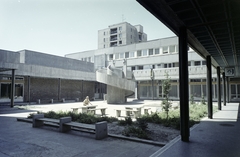 Hungary, Debrecen, a Petőfi tér és az Erzsébet utca épületei közötti park, háttérben az Ispotály utca 1-es számú ház emelkedik ki., 1976, FŐFOTÓ, colorful, Fortepan #207048