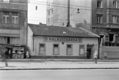 Magyarország, Budapest VIII., Népszínház utca, Halászcsárda a körúti villamos-végállomásnál., 1977, FŐFOTÓ, Budapest, Fortepan #207199