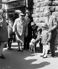 Magyarország, Budapest XI., a felvétel a Móricz Zsigmond körtér 1-es számú ház kapuja előtt készült., 1967, FŐFOTÓ, Budapest, gyerek, járókelő, életkép, bárány, Fortepan #207422