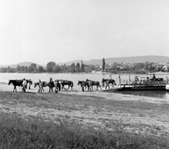 Magyarország, Kisoroszi, rév, Visegrád-Szentgyörgypusztánál., 1967, FŐFOTÓ, Fortepan #207495